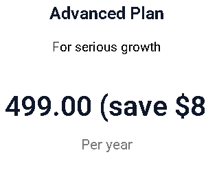 Advanced Plan Yearly For Maintenance website