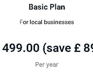 Basic Plan Yearly For Maintenance website