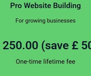 Pro Website Building one-time lifetime fee