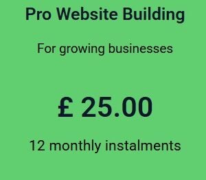 Pro Website Building 12 monthly instalments