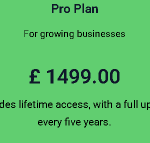 Pro lifetime Plan For Maintenance website