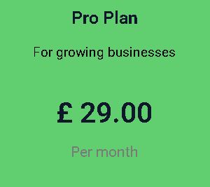 Pro Plan monthly For Maintenance website