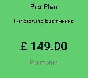 Pro Plan monthly For Maintenance website