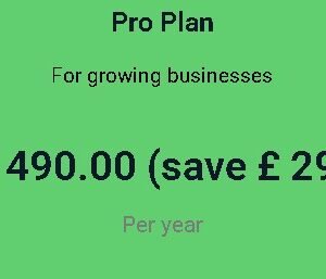 Pro Plan Yearly For Maintenance website