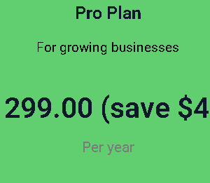 Pro Plan Yearly For Maintenance website
